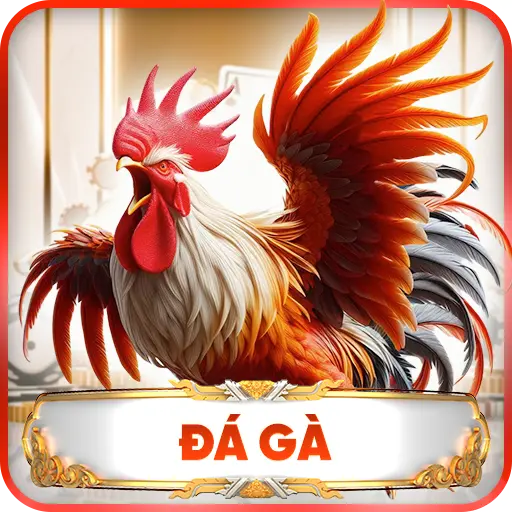 Đá Gà KP88 – Sân Chơi Đỉnh Cao Cho Các Tín Đồ Đam Mê